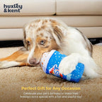 Huxley & Kent Funny Dog Toy w/Squeaker – Power Plush Squeaky Dog Toys for Small, Medium & Large Dogs – Soft Stuffed Animal for Indoor Play & Fetch - Arctic Blast Treat, Small