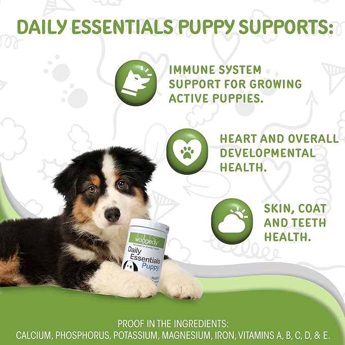 waggedy Daily Essentials Puppy — Full-Spectrum Functional Treats, Small or Large Breed Puppy Supplements — Dog Supplements & Vitamins — Puppy Essentials (60 Chews)
