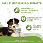 waggedy Daily Essentials Puppy — Full-Spectrum Functional Treats, Small or Large Breed Puppy Supplements — Dog Supplements & Vitamins — Puppy Essentials (60 Chews)