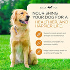 BLACK FOX Raw Freeze Dried Dog Food - Chicken & Salmon Entrée - Complete Meal - 1.1lb