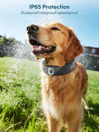 GPS Wireless Dog Fence with 2K Camera & Voice Training & GPS Tracker, Dog Collar with App Waterproof Rechargeable Adjustable for Large Medium Dogs
