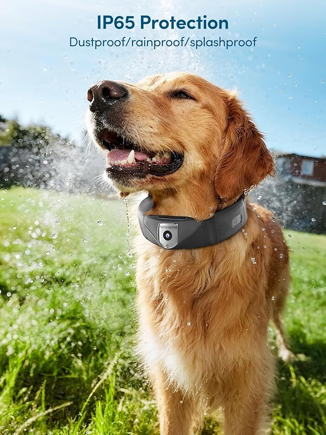 GPS Wireless Dog Fence with 2K Camera & Voice Training & GPS Tracker, Dog Collar with App Waterproof Rechargeable Adjustable for Large Medium Dogs