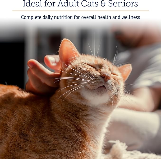 Rx Vitamins Essentials for Cats - Daily Immune Support and Overall Health - Featuring Taurine, Vitamin B12, & Milk Thistle - Cat Multivitamin and Multimineral Powder with Spirulina and Vitamin B - 4oz