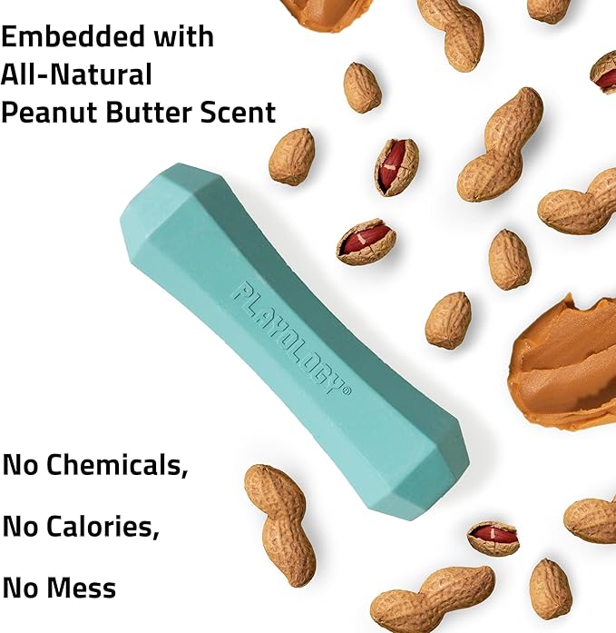 Playology Squeaky Dog Toy Fetch Stick | Durable Rubber Toys for Interactive Play | Peanut Butter Scented Fetch Stick for Medium Dogs, Value 2-Pack | Floating Dog Toy Made from Non Toxic Materials