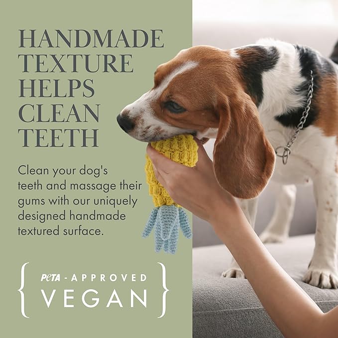 Organic Cotton Squeaky Dog Toys Fruits & Veggies Dog Toy Pack - Handmade Knit Dog Accessories, for Small Medium Dogs, Puppy Essentials and Puppy Toys Perfect Dog Gift