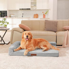Orthopedic Dog Beds Large Sized Dog, 3 Inch Memory Foam Pet Bed for Medium and Large Dogs, Washable Removable Cover, Nonskid Bottom, Waterproof, 44x32 Inches XXL Light Grey