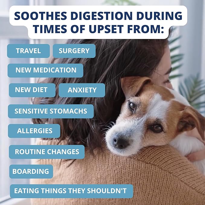 Under the Weather Easy to Digest Bland Diet for Sick Dogs - Always Be Ready - Contains Electrolytes - Gluten Free, All Natural, Freeze Dried 100% Human Grade Meats - Chicken, Rice & Bone Broth