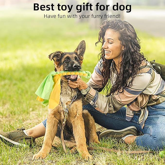 Flirt Pole for Dogs, Extendable Dog Flirt Pole with Detachable Interactive Toys Teaser Wand with Lure Chewing Toy for Outdoor Exercise & Training Interactive Toys Heavy Duty Dog Toy