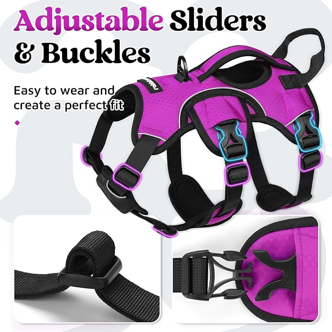 rabbitgoo Escape Proof Dog Harness, Soft Padded Full Body Pet Harness, Reflective Adjustable No Pull Vest with Lift Handle and Lesh Clip for Large Dogs Walking Hiking Training, S, Purple