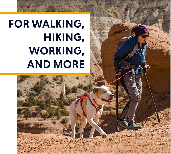 Ruffwear, Web Master, Multi-Use Support Dog Harness, Hiking and Trail Running, Service and Working, Everyday Wear, Red Sumac, Medium