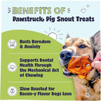 Pawstruck Natural Slow Roasted Pig Snouts for Dogs – Premium Single Ingredient Low Fat Pork Chew Treat for All Breeds – No Artificial Preservatives – 10 Count