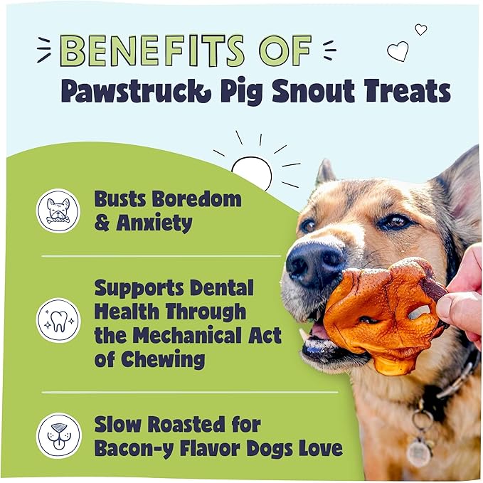 Pawstruck Natural Slow Roasted Pig Snouts for Dogs – Premium Single Ingredient Low Fat Pork Chew Treat for All Breeds – No Artificial Preservatives – 10 Count