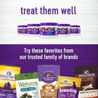 Wellness Pumpkin Patch Flavored Soft Chew Digestive Health Supplements for Dogs, 45 Count
