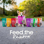 Smallbatch Freeze Dried Dog Treats, Superfood Food Topper Turkey Bites for Dogs & Cats, Probiotics, Organic Ingredients, High Protein, Grain Free Healthy Treat & Food Topper, Made in the USA, 7 oz Bag