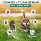 4-IN-1 Flea and Tick Prevention Drops for Dogs and Cats, Natural Cat & Dog Flea and Tick Treatment, Supports Flea Defense, Gut Health, Skin & Coat Nourishment, and Immune Support, Bacon Flavor