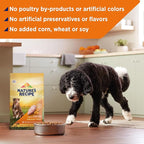 Nature’s Recipe Grain Free Chicken, Sweet Potato & Pumpkin Recipe Dry Dog Food, 24 lb. Bag