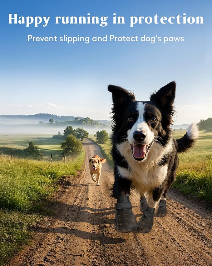 Dog Shoes for Hot Pavement, Breathable Dog Boots Paw Protectors with Adjustable Straps & Non-Slip Sole, Easy On & Off, Waterproof, Easy-Cleaning (Black, M)