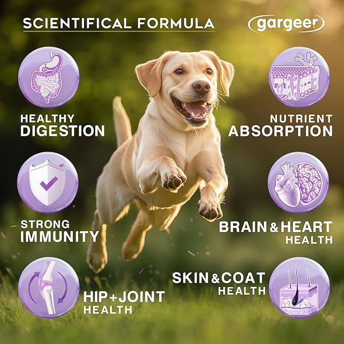 Dog Multivitamin 21-in-1 Chews for Dogs. Rich with Fatty Acids & Antioxidants. Supports Healthy Gut, Mobility & Immune System. for Seniors and Puppies – 60 Soft Chews, Made in The USA, Enjoy!