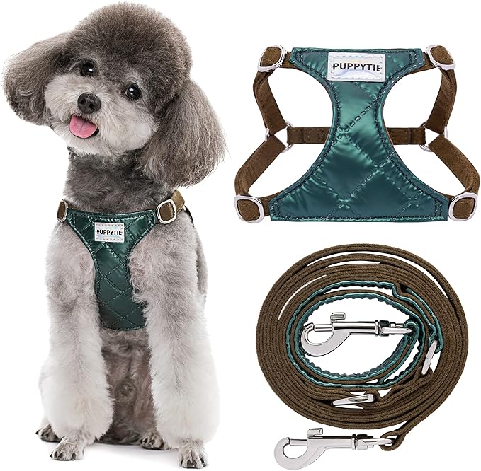 Puppytie No Pull Small Dog Harness with Multifunction Dog Leash,Lightweight Soft Adjustable No Choke Escape Proof Pet Harness Vest Pet Harness Vest,Glossy Dark Green,S