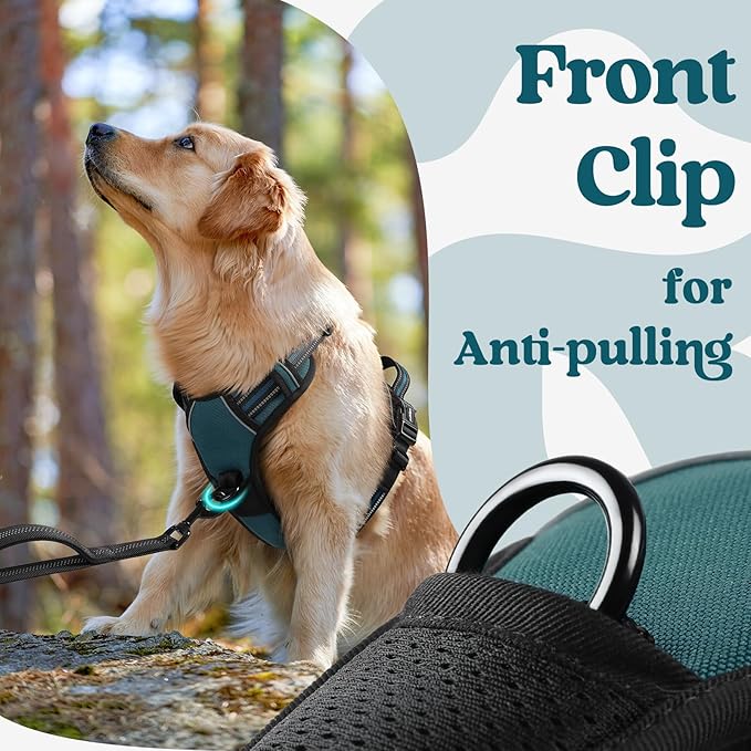 rabbitgoo Dog Harness Small Sized, No Pull Pet Harness with 3 Buckles, Adjustable Soft Padded Vest with Control Handle, Walking Reflective Pet Vest for Small Dogs, Blue Coral, S