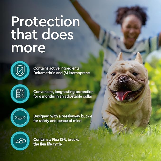 Provecta® PRO Flea & Tick Collar for Dogs