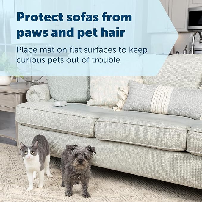 PetSafe ScatMat Indoor Training Mat