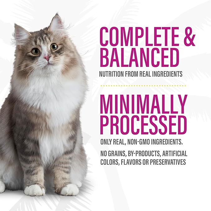 Tiki Cat After Dark Pâté, Variety Pack, High-Protein and 100% Non-GMO Ingredients, Wet Cat Food for Adult Cats, 3 oz. Cans (Pack of 12)