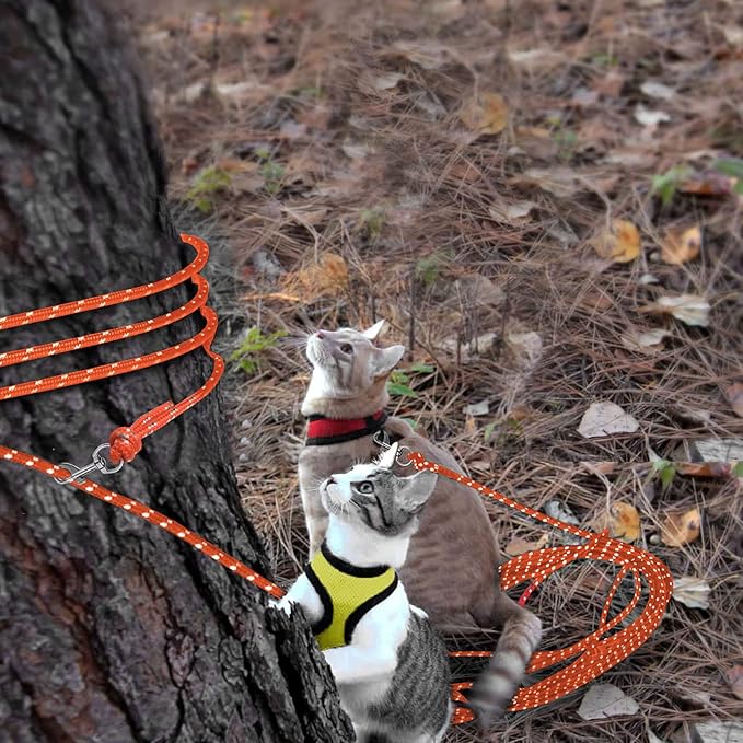 Rypet Reflective Cat Long Leash - 15 FT Escape Proof Walking Leads Yard Long Leash Durable Safe Personalized Extender Leashes Traning Play Outdoor for Kitten, Puppy, Rabbit and Small Animals