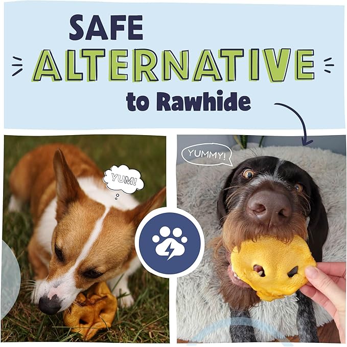 Pawstruck Natural Slow Roasted Pig Snouts for Dogs – Premium Single Ingredient Low Fat Pork Chew Treat for All Breeds – No Artificial Preservatives – 10 Count