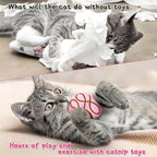 MALLMALL6 Catnip Toys for Cat - 5Pcs Chocolate Truffles Catmint Interactive Teething Chew Kick Cat Toy for Indoor Kitten, Soft Candy Pet Supplies, Pet Birthday Gifts for Kitten Lover