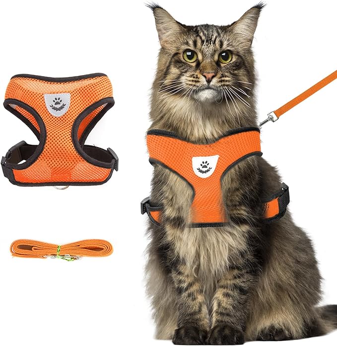 shudyear Summer cat Chest Harness and Leash, Anti-Escape Adjustable Soft mesh cat Leash and Chest Harness Set for All Types of Cats cat Vests (Size XL, Orange)