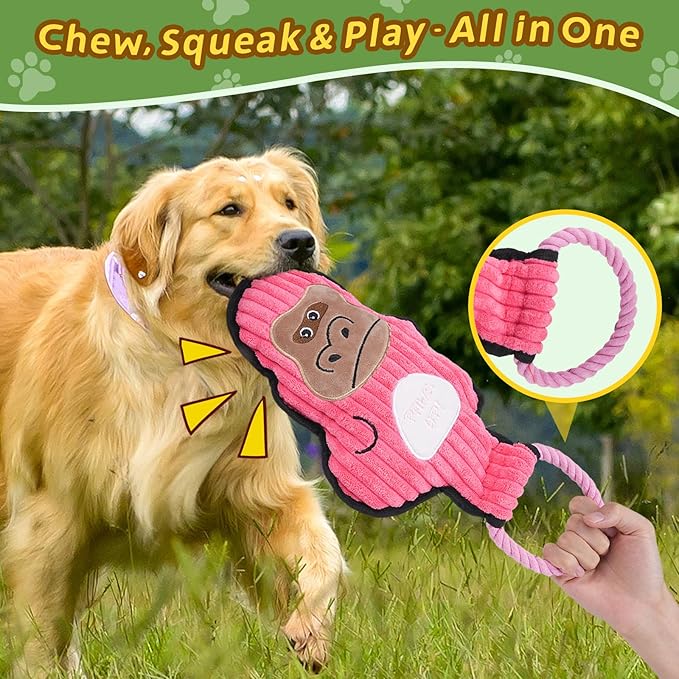 2-Pack Squeaky Dog Toys & Tough Tug of War Set - No Stuffing Chew-Resistant Plush Toys to Keep Them Busy, Best Birthday Gift for Small/Medium/Large Breeds (Ducks & Gorilla)