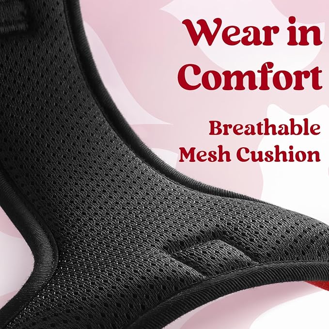 rabbitgoo Dog Harness Small Sized, No Pull Pet Harness with 3 Buckles, Adjustable Soft Padded Vest with Control Handle, Walking Reflective Pet Vest for Small Dogs, Red, S