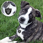 NFL Las Vegas Raiders Engraving Pet ID Tags in 32 Team Logo Shapes Personalized Dog Tags and Cat Tags with 3 Lines of Customizable Text for Tracking & Safety. Stainless Steel Pet ID Tracking Tags