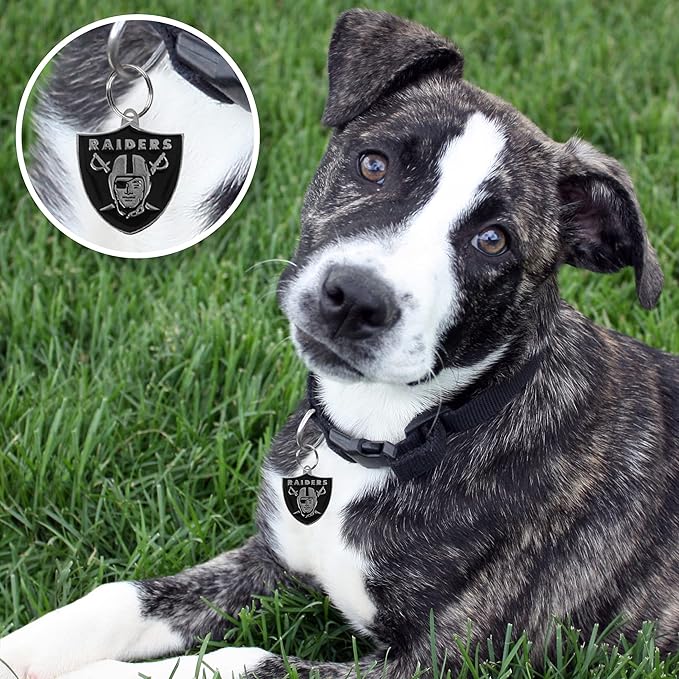 NFL Las Vegas Raiders Engraving Pet ID Tags in 32 Team Logo Shapes Personalized Dog Tags and Cat Tags with 3 Lines of Customizable Text for Tracking & Safety. Stainless Steel Pet ID Tracking Tags