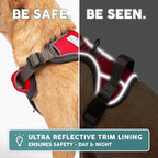 Embark Adventure Dog Harness, Reflective Trim No Pull Dog Harnesses for Small Sized Dogs - Military Grade Nylon, Front Clip with Gel Lined Handle. Soft & Padded Puppy