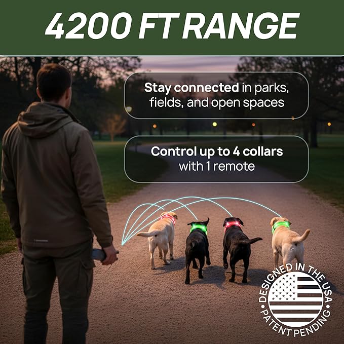2-in-1 Dog Shock Collar with Remote & 360° LED Safety Lights – 4200FT Range Dog Training Collar, IPX7 Waterproof, 4 Training Modes, Rechargeable E-Collar for Small Medium & Large Dogs (10-120lbs)