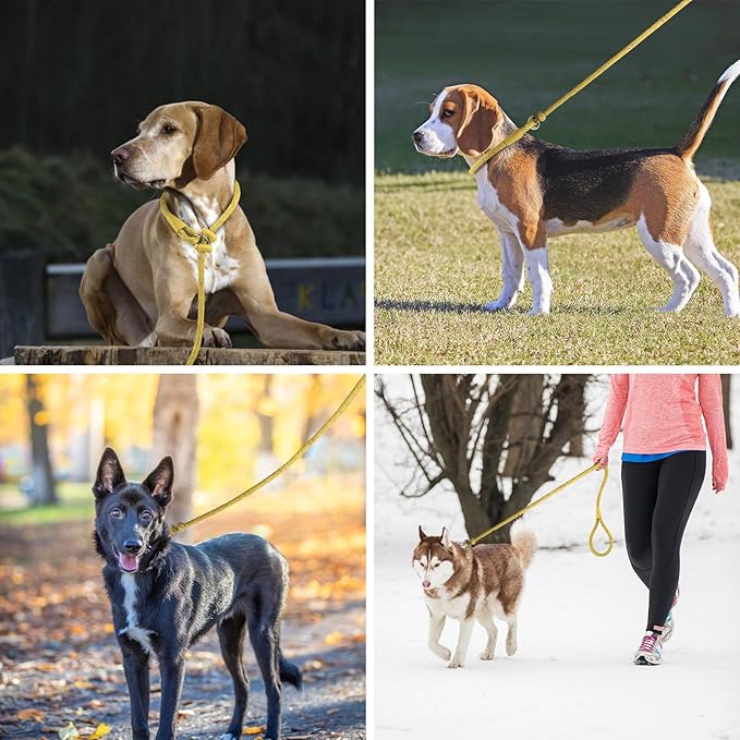 Lynxking Dog Leash Slip Lead Reflective Breathable Rope Comfortable Strong No Pull Slip On Pet Training Lead for Dogs