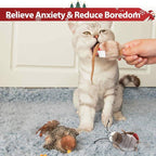 PETGEEK Gigwi Simulated Chirping Bird Cat Toy, Fake Toys for Indoor Cats, Cat Feather Toy with Hanging Loop for Bored Indoor Adult Cats Kittens Interactive Play (Bird-Cricket, Chirping)