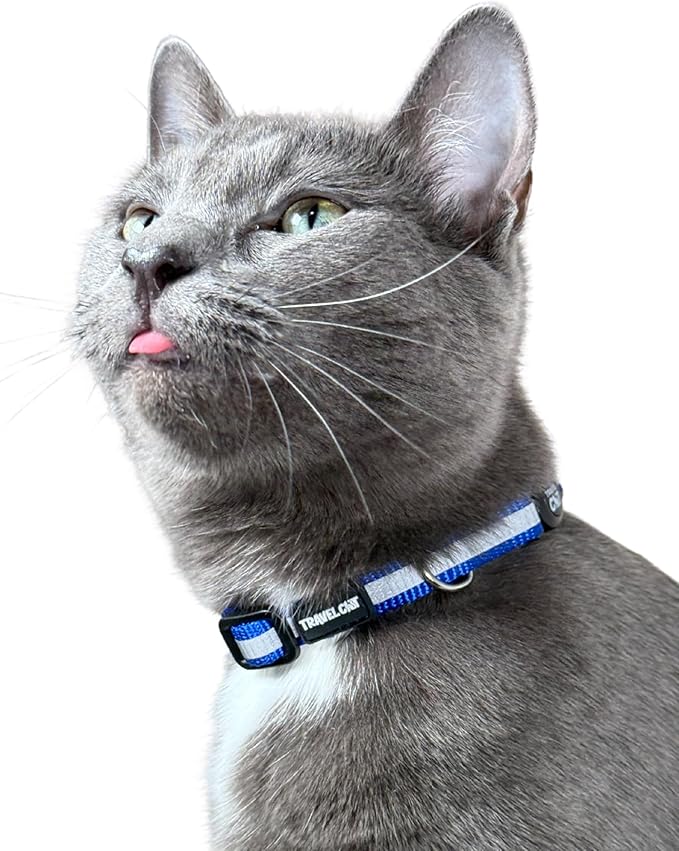 Travel Cat Breakaway Cat Collar - Blue Adjustable Cute Cat Collar with Quick Release Safety Buckle for Boy and Girl Cat - Nylon 8-13 inch Length Kitten Collar with Metal D-Ring, Machine Washable