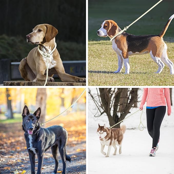 Lynxking Dog Leash Slip Lead Reflective Breathable Rope Comfortable Strong No Pull Slip On Pet Training Lead for Dogs