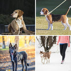 Lynxking Dog Leash Slip Lead Reflective Breathable Rope Comfortable Strong No Pull Slip On Pet Training Lead for Dogs