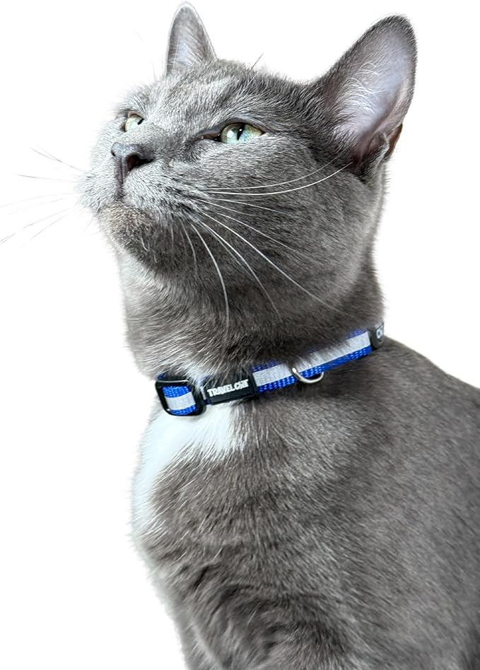 Travel Cat Breakaway Cat Collar - Blue Adjustable Cute Cat Collar with Quick Release Safety Buckle for Boy and Girl Cat - Nylon 8-13 inch Length Kitten Collar with Metal D-Ring, Machine Washable
