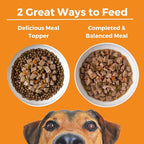 KOHA Big Easy Feast Stew for Dogs with Turkey, Chicken, and Duck, High Protein Wet Dog Food, 12.7oz Cans (Case of 12)