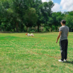 Rypet Reflective Cat Long Leash - 15 FT Escape Proof Walking Leads Yard Long Leash Durable Safe Personalized Extender Leashes Traning Play Outdoor for Kitten, Puppy, Rabbit and Small Animals