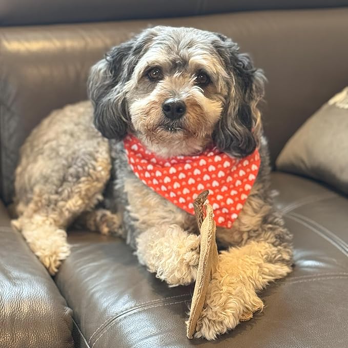 SPOT Dura-Fused Leather Fox Dog Toy – Real Leather & Jute Fabric, Double-Stitched & Durable, Squeaky Interactive Chew Toy for Moderate Chewers, Small & Medium Dogs, Soft Stuffed Fetch Toy, 7.5in