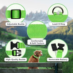 LED Light Up Dog Collar Rechargeable Waterproof, Glow in Dark Dog Collar, Lighted Dog Collars for Night Walking Charging USB, Safety for Small Medium Large Dogs (M, Green)