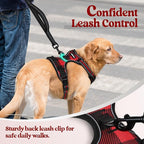 rabbitgoo Dog Harness No Pull with 2 Leash Clips, Adjustable Soft Padded, Reflective Oxford No Choke Pet Vest with Easy Control Handle for Large Dogs, Red Plaid, L