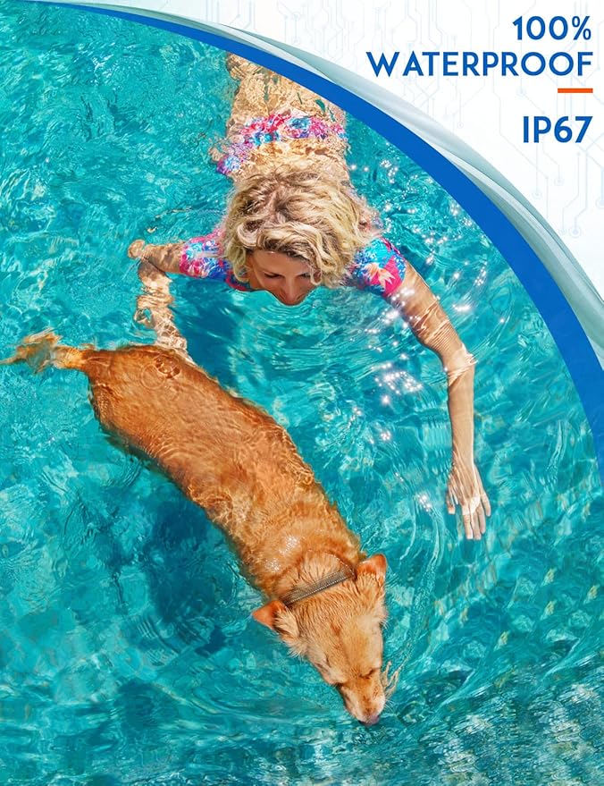 PaiPaitek Vibrating Dog Collar No Shock, 3300ft Range Dog Beep Collar with Remote, IPX7 Waterproof Rechargeable No Shock Training Collar for 5-120 lbs All Breeds - No Prongs