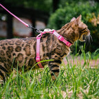 Cat Harness and Leash Set with Airtag Holder for Walking & Travelling, Escape Proof Cat Harness for Small Medium Large Kitten, Adjustable Lightweight Soft Cat Vests (Pink)